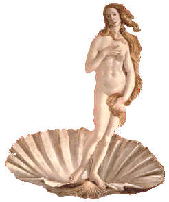 venus2.gif (29071 octets)